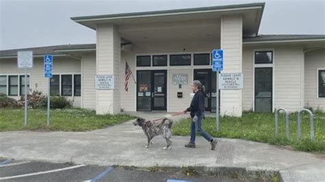 Jun 12, 2023 · Photo via Humboldt County Animal Shelter page on Facebook. ### DOCUMENT: Custody and Corrections, and Other Humboldt County Facilities ### In its fourth report of the 2022-2023 session, the ... . 