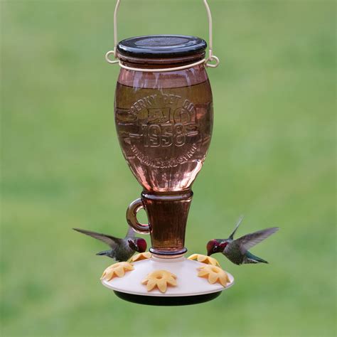 Find out the top picks for hummingbird feeders of different materials, styles, and capacities. Learn how to choose, clean, and maintain a feeder to attract …