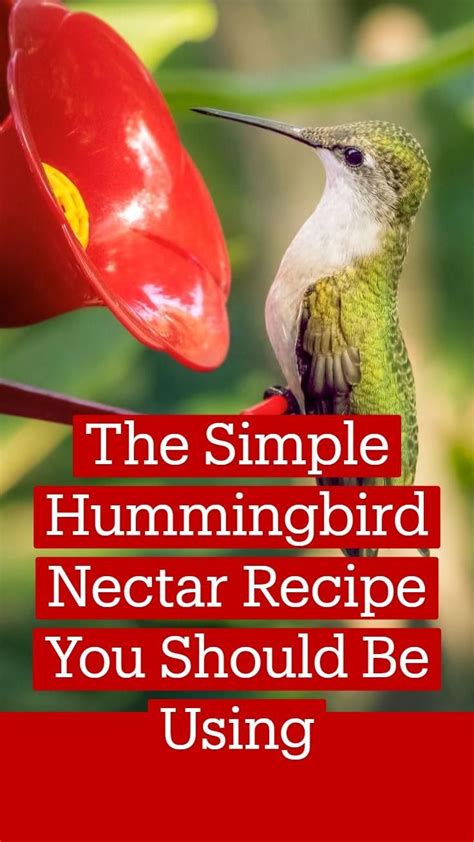 Humming bird nectar recipe. Temperature: 89-92°F (31-33°C); change every 2 days. Temperature: 93°F+ (33°C+); change daily. To make things simple, premix nectar is put in the refrigerator, and just pour as needed instead of preparing a new solution anytime nectar change becomes necessary. You should change nectar anytime you notice mold growth on it. 