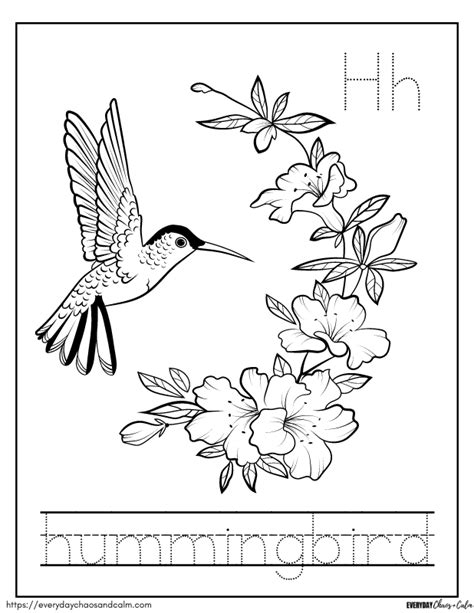 Hummingbird Coloring Page Learning How to Read