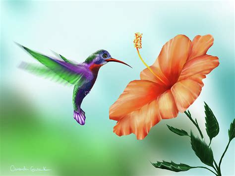 Hummingbird Framed Art Prints - Fine Art America