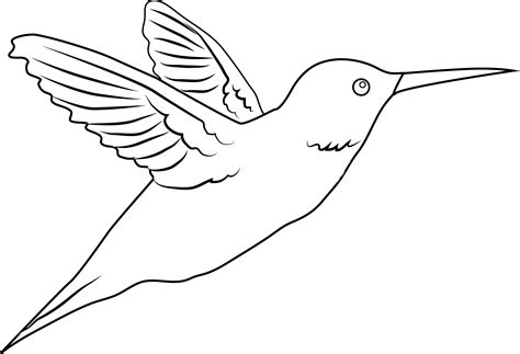 Hummingbird Outline Drawing