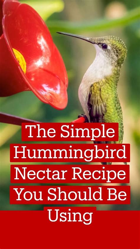 Hummingbird bird nectar recipe. Rely on hummingbirds and other insect-eating birds to provide natural pest control instead. Use hummingbird feeders filled with a proper sugar solution to simulate natural nectar. Red feeders will attract hummingbirds, and a hummingbird nectar recipe of four parts water to one part sugar is closest to the … 