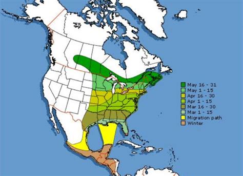 Hummingbird fall migration map 2023. Apr 19, 2023 ... If you're a hummingbird enthusiast, you know that now is the time to prepare your bird feeders to take advantage of the migration, and hopefully ... 