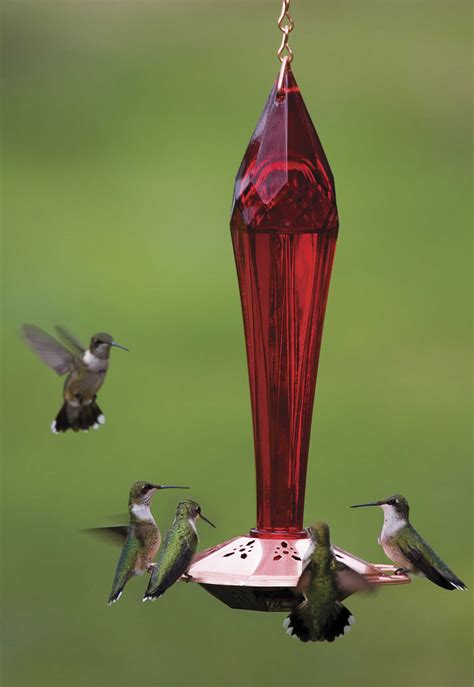 Hummingbird feed. Mid-range hummingbird feeders cost $10 to $30. You can find more durable, heat stable plastic models in this price range, as well as those with glass bottles. High-end hummingbird feeders cost $30 to $100 (but most are priced under $50). These include intricate, all-glass models. 
