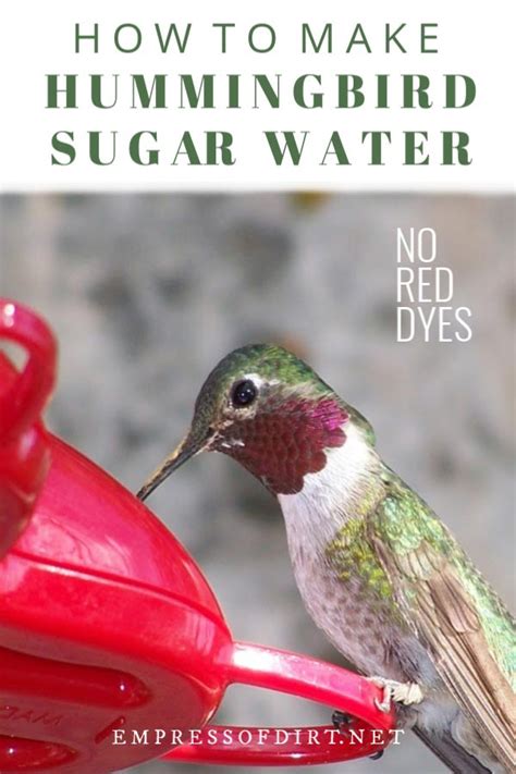 Hummingbird food ratio sugar to water. If so, head to your kitchen and follow these easy steps to make hummingbird nectar. Homemade Hummingbird Nectar Ingredients . You only need two ingredients to make hummingbird food. 1/4 cup of refined white sugar; 1 cup of boiling water; Use white sugar to make this solution as honey can promote dangerous fungal growth. 