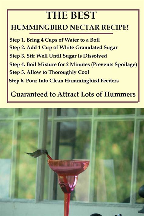 Hummingbird nectar recipe ratio. Here’s the ratio: Combine four parts hot water to one part sugar. (Do not use honey, brown sugar or artificial sweeteners in your hummingbird mixture ). Mix it up until the sugar is completely dissolved. Once it cools to room temperature, it’s ready. Store any extra sugar water in the refrigerator for up to a week. 