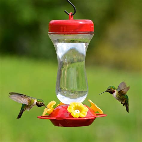  It is hummingbird nectar, which is nothing more than a simple sugar and water solution. While hummingbirds feed on nectar from various types of flowers, they have also come to rely on human beings (most notably hummingbird enthusiasts) to put hummingbird feeders in their yards and fill them with hummingbird food. 