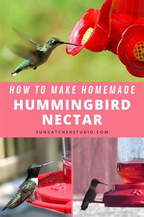 A Few Hungry Hummingbird Tips: Use a 1-part ratio of sugar to 4 parts water, no matter how much nectar you’re making. Never use honey or artificial sweeteners, as they can be harmful to hummingbirds. Store extra nectar in the fridge for up to 1 week. Change the nectar every 3-5 days, or sooner if it starts to turn color..