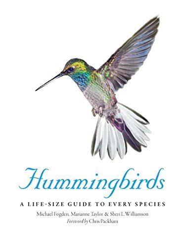 Full Download Hummingbirds A Lifesize Guide To Every Species By Michael Fogden