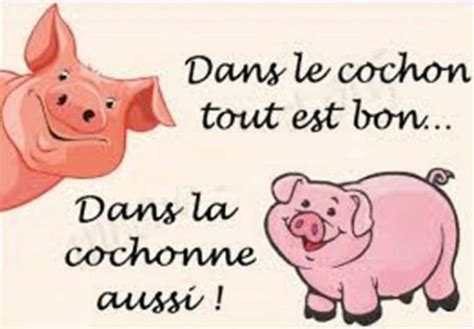 Humour Nature : Images COCHONS