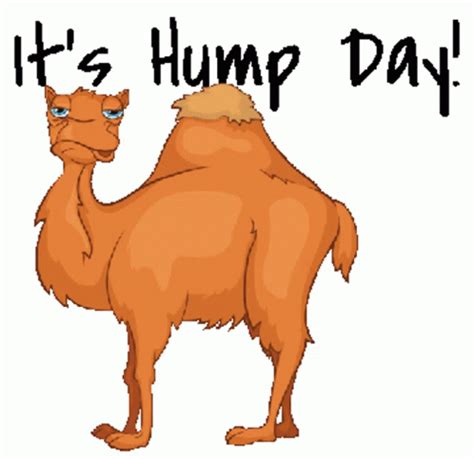 Hump Day GIF - Search and Download GIFs on Gifburg