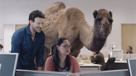 Hump day commercial. Things To Know About Hump day commercial. 