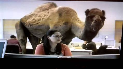 Oct 31, 2015 · Geico camel goes to the movies. Whoot Whoot! Mike Mike Mike.\r. A video parody of the GEICO Hump Day Camel Commercial - Happier than a Camel on Wednesday - Remixed and reset to an original smokin blues musical . . 