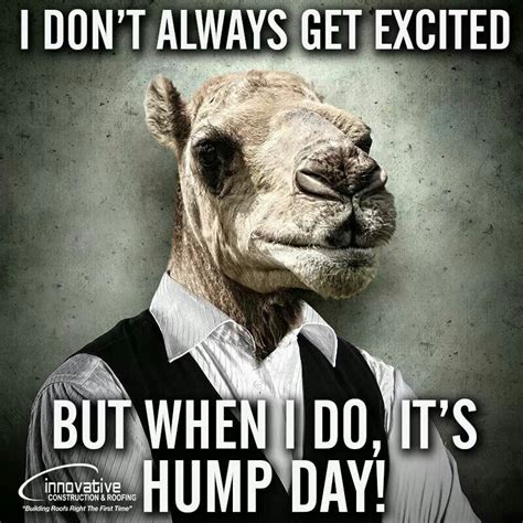 Hump day quotes funny. - Byron Pulsifer. Hump day with you is the happiest hump day ever! When people refer to ‘Back in the Day, ’ it was a Wednesday. Just a little fun fact for you.- Dane … 
