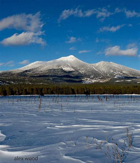 Humphreys Peak Climber