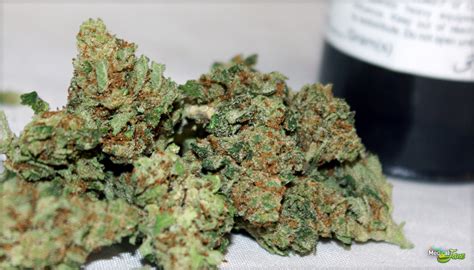 Humpty Doo Haze Strain Review & Info 2024 AskGrowers