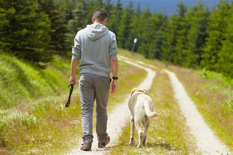 Hund geht nicht mit anderen spazieren