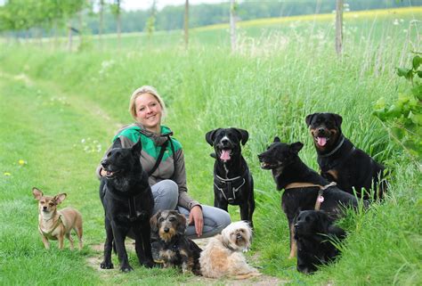 Hundekompass - Training und Beratung für adoptierte …