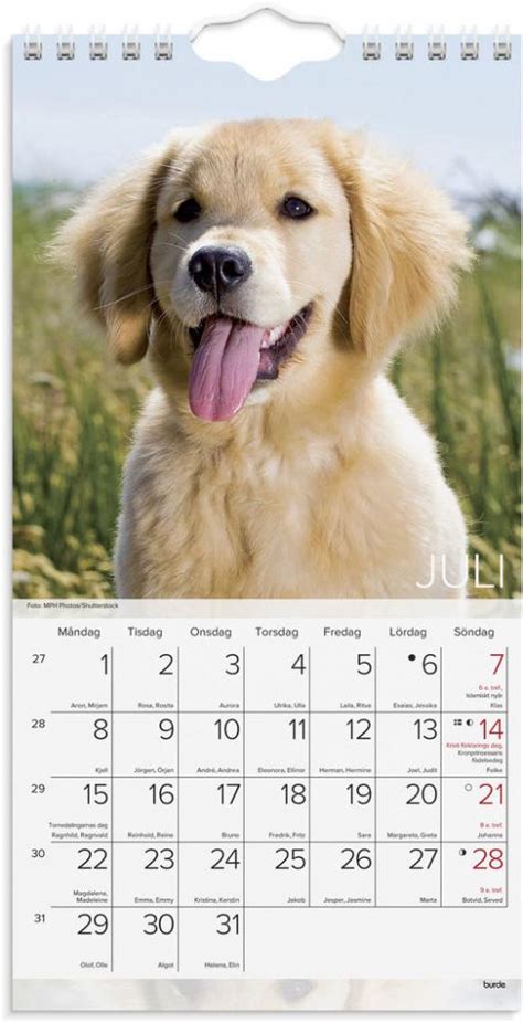 Hundkalender 2024