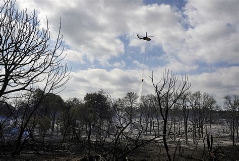 Hundreds flee, building destroyed as grass fire spreads to trees near Texas apartments