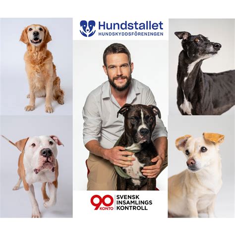 Hundstallet örebro