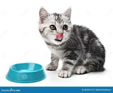 Hungry Kitty Onlyfans Leak