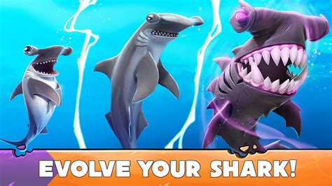 Hungry Shark Evolution APK Download for Android 