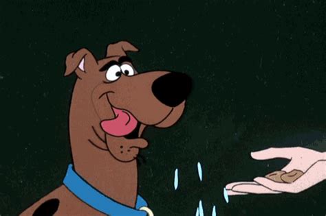 Hungry Snack GIF by Scooby-Doo - Find & Share on GIPHY