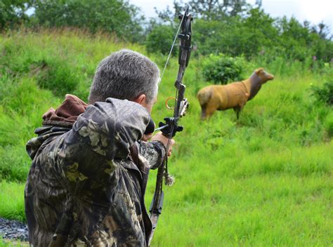 Hunt go. Jun 5, 2023 ... In this podcast I sit down with Go Hunt's own Trail Kreitzer. We discuss growing up hunting, some of Trails worst and best hunts, ... 
