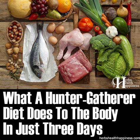 Hunter gatherer diet. Cordain proposes that eating the diet our hunter-gatherer ancestors supposedly ate (humans from the Paleolithic period) – a diet of meat, seafood, fruits, … 