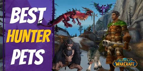 Hunter pets bfa.  Most noticeably .  A visual guide to hunter pets in the World of Warcraft.  Ta...