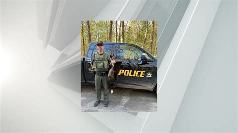 Hunter ticketed for trespassing, firing gun near residence