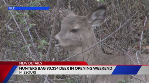 Hunters bag 90,300 deer in opening weekend