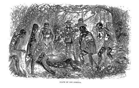 Hunting Gorillas in the Land of Cannibals: Making Victorian ...