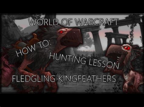 Hunting Lesson: Fledgling Kingfeather - Quests - WoWDB (Beta)