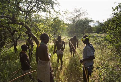 Hunting and gathering tribe - Definition, Meaning