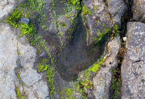 Hunting for Dinosaur Footprints on the Isle of Skye, …