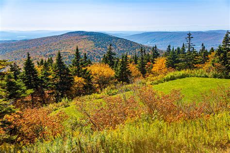 Hunting in Massachusetts state parks and forests Mass.gov