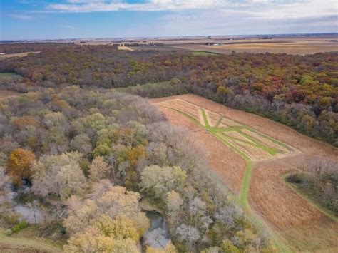 Approximately 160 acres of prime hunting land north of Newton, Ill