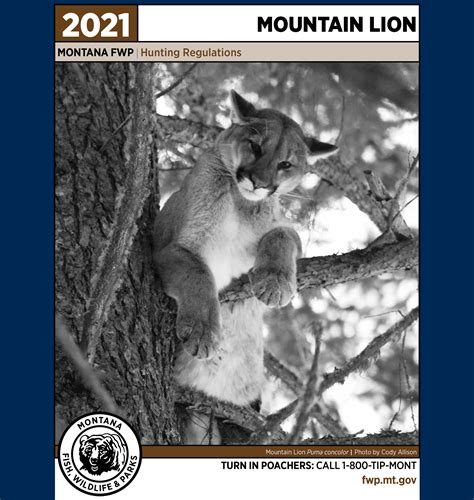 The Montana Fish and Wildlife Commission adopted final hunting regulations for deer, elk, antelope, moose, black bear, mountain lion, mountain goats, bison, bighorn sheep, upland bird, turkey, and .... 