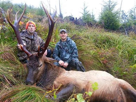 Re: Let’s see your best Washington buck. « Reply #110 on: March 27, 2024, 10:15:56 AM ». My wife was hunting with her dad when she was a teenager, he shot a nice 4 point blacktail in wilkeson. two or three guys came up to them and said that's our deer while he was gutting it out. The situation left him with no choice but to walk away, …. 