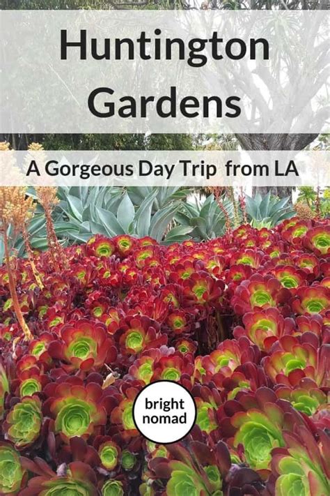 Huntington Gardens: A Gorgeous Day Trip From Los Angeles