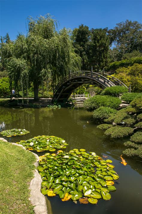 Huntington Library Free Day What To Know Before You …