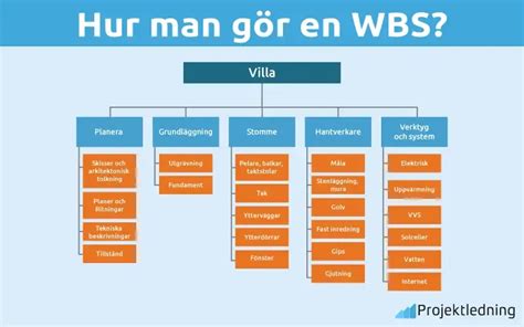 Hur man t&auml;mjer en kanarief&aring;gel? 5 enkla steg-Vivo husdjur