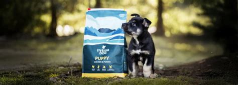 Hur mycket torrfoder till valp