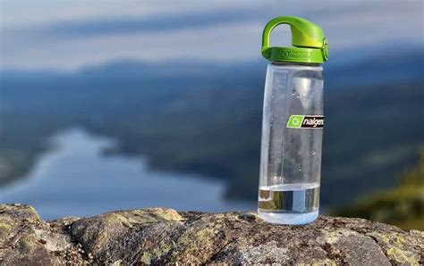 Hur mycket vatten beh&ouml;ver v&auml;xterna i TR&Auml;DG&Aring;RDEN