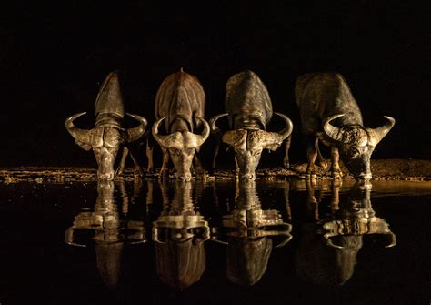 🍑 [HD] Hurleypurley Leaked