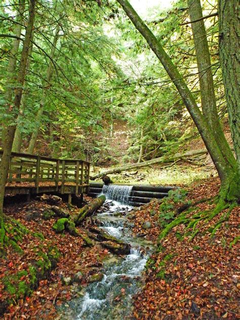 Huron-manistee national forest. Things To Know About Huron-manistee national forest. 