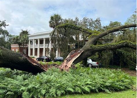 Hurricane Idalia causes 100-year-old oak tree to split, fall on Gov. DeSantis' mansion